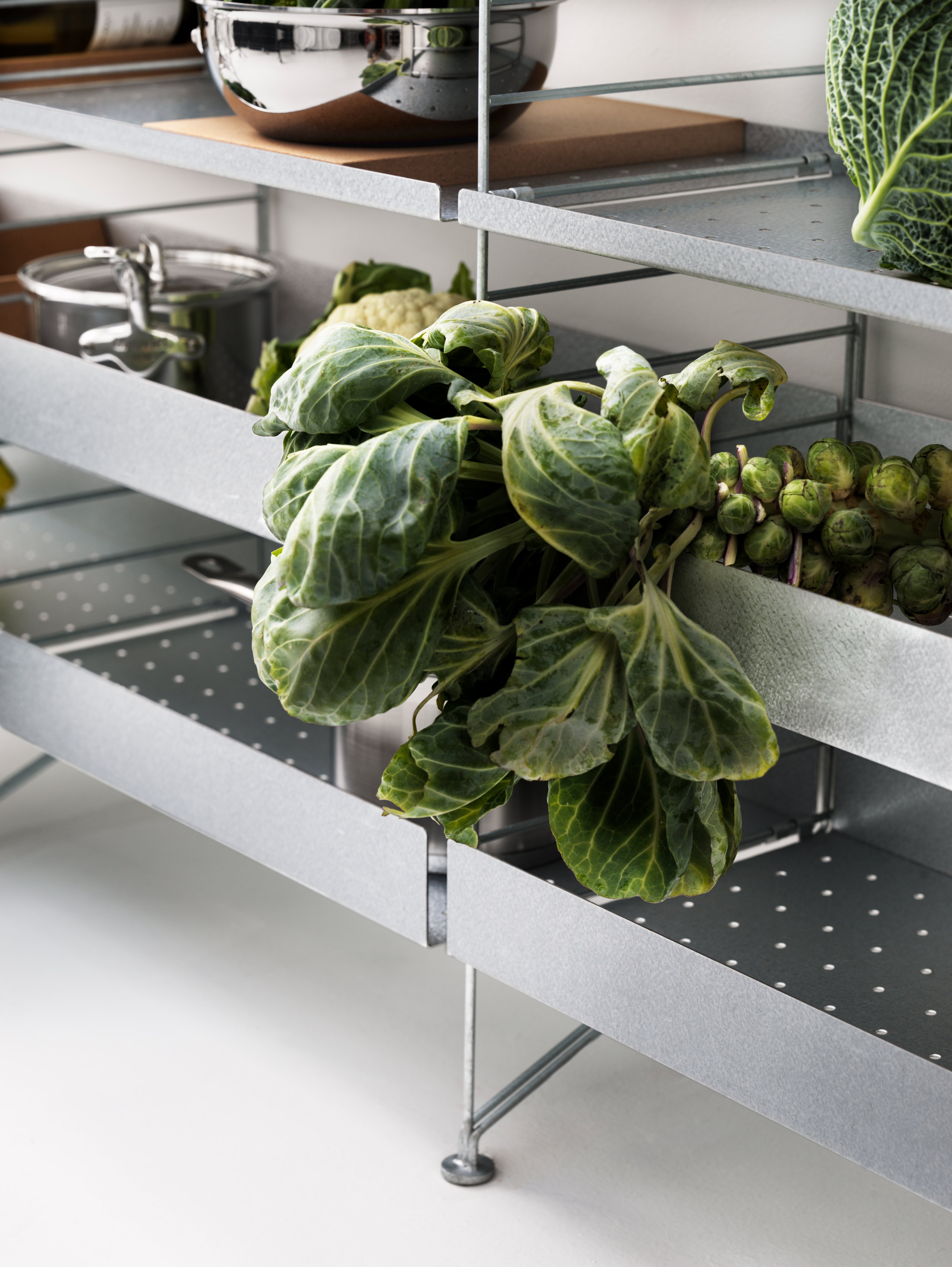 Die galvanisierten Regalböden von String® System wurden für den den Außenbereich entwickelt. Die Regalböden mit niedriger Kante von 2 cm sind in der Breite 58 cm und den Tiefen 20 cm und 30 cm erhältlich. Die Regalböden mit hoher Kante von 7 cm sind in der Breite 58 cm und der Tiefe 30 cm erhältlich. Gestalten Sie eine minimalistische Regalkombination nur mit Regalböden derselben Kantenhöhe oder kombinieren Sie beide Kantenhöhen zu einem dynamischeren Design. Fügen Sie Zubehör hinzu, um Ihre Aufbewahrungsmöglichkeiten im Freien zu optimieren. Die Regalböden passen zu den galvanisierten Regalleitern aus Metallgitter von String® System und lassen sich ganz leicht versetzen. Die galvanisierten Regalböden halten jedem Wetter stand und können ganzjährig draußen bleiben. Eine Verpackungseinheit enthält einen galvanisierten Regalboden.